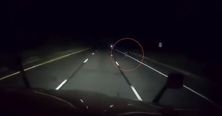 Kierowca ciężarówki zobaczył to na drodze. Na dowód pokazał nagranie