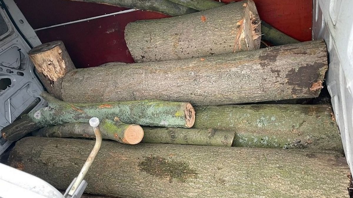 Zdjęcie ilustracyjne.