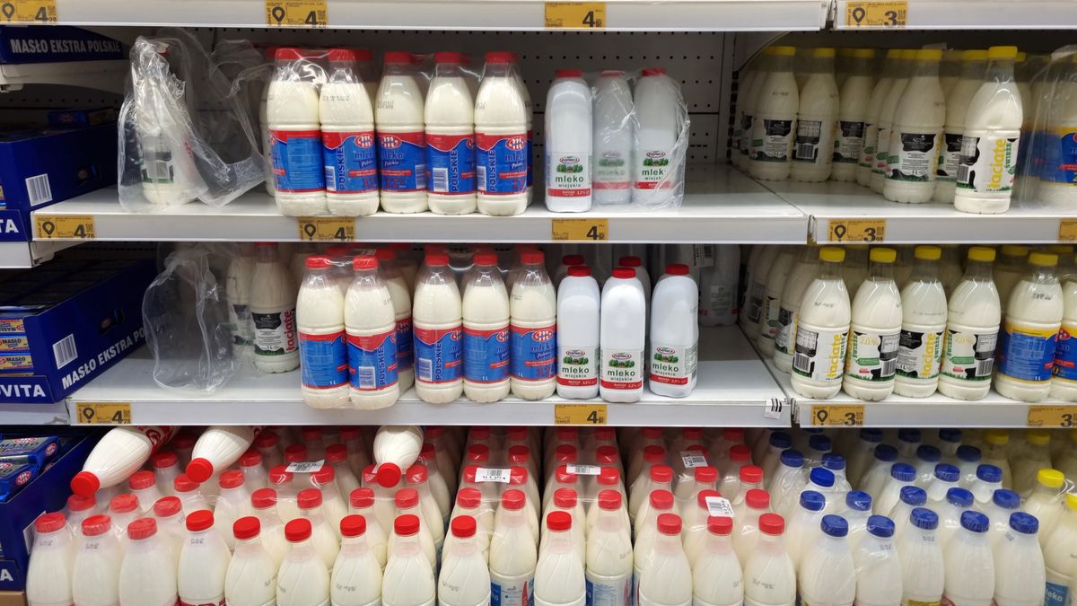 mleko, butelka, od krowy, bialy napój, zdrowe