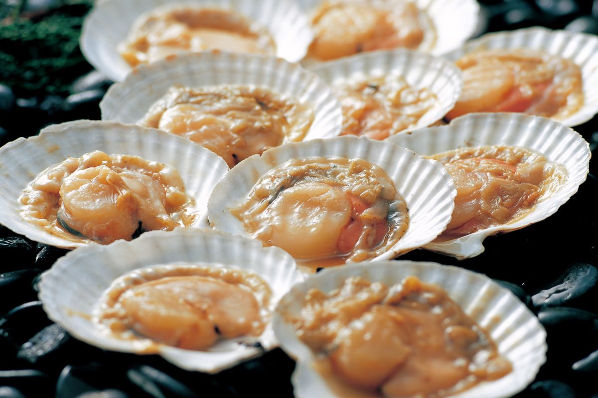 Scallops are known as St. James' mussels