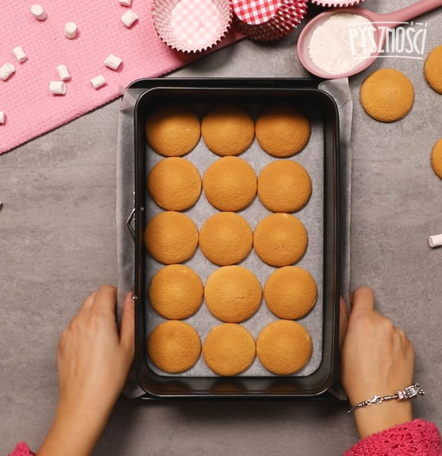 Base made of sponge biscuits