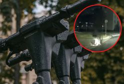 Chłopiec wtargnął na ulicę. Refleks zapobiegł tragedii