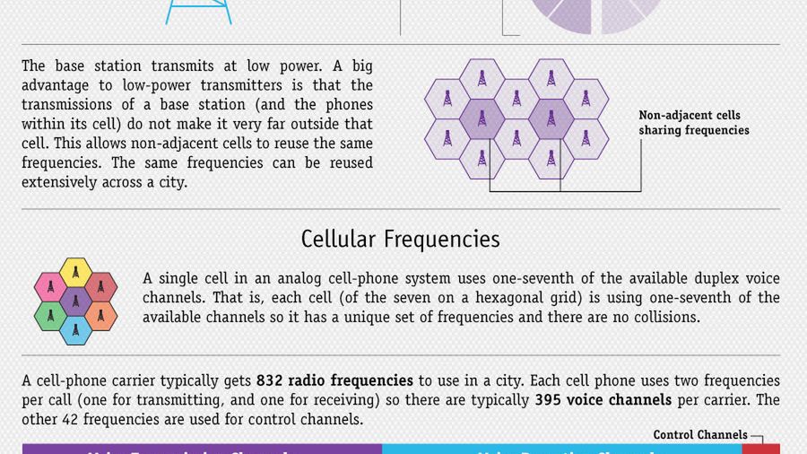 Jak działają komórki? [infografika] 1