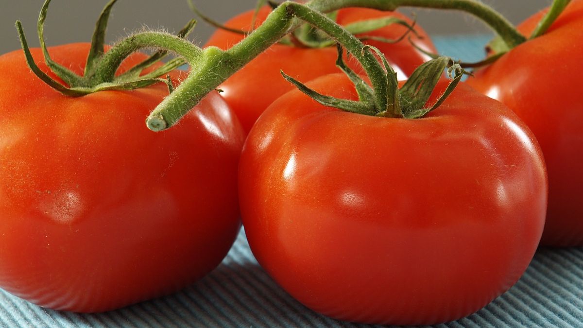 Czy pomidory można mrozić? Wiele osób ma błędne przekonanie