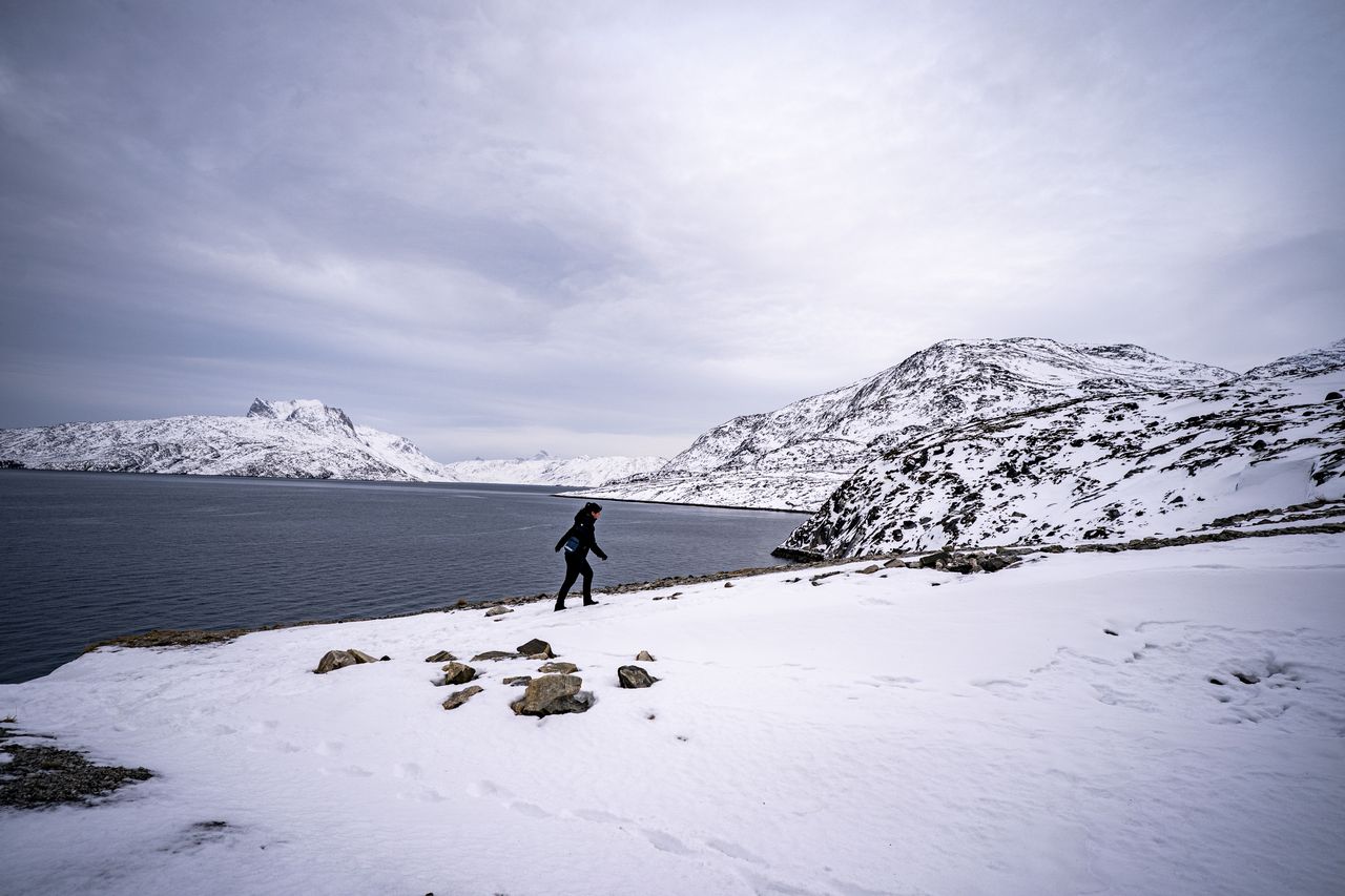 Neil Young i wyjątkowy gest. Chodzi o mieszkańców Grenlandii