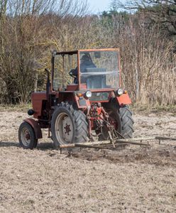 Emerytura dla rolnika. Tyle wynosi dla osób z 20 i 25‑letnim stażem