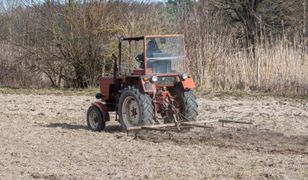 Emerytura dla rolnika. Tyle wynosi dla osób z 20 i 25‑letnim stażem