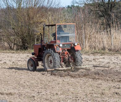 Emerytura dla rolnika. Tyle wynosi dla osób z 20 i 25‑letnim stażem