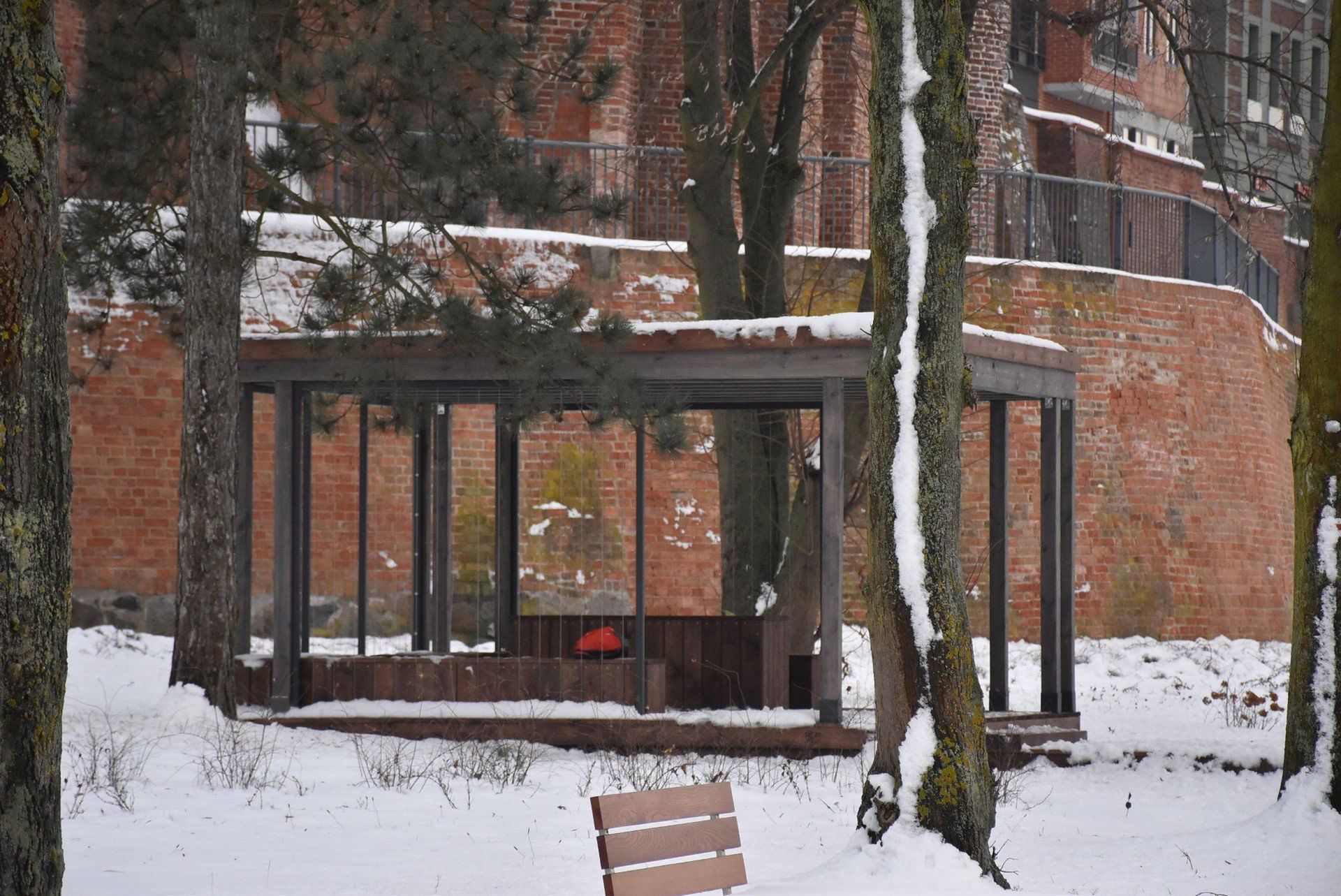 Akcje dla Zosi z Malborka. Andrzej biegnie na andrzejki, będą parkrun i joga