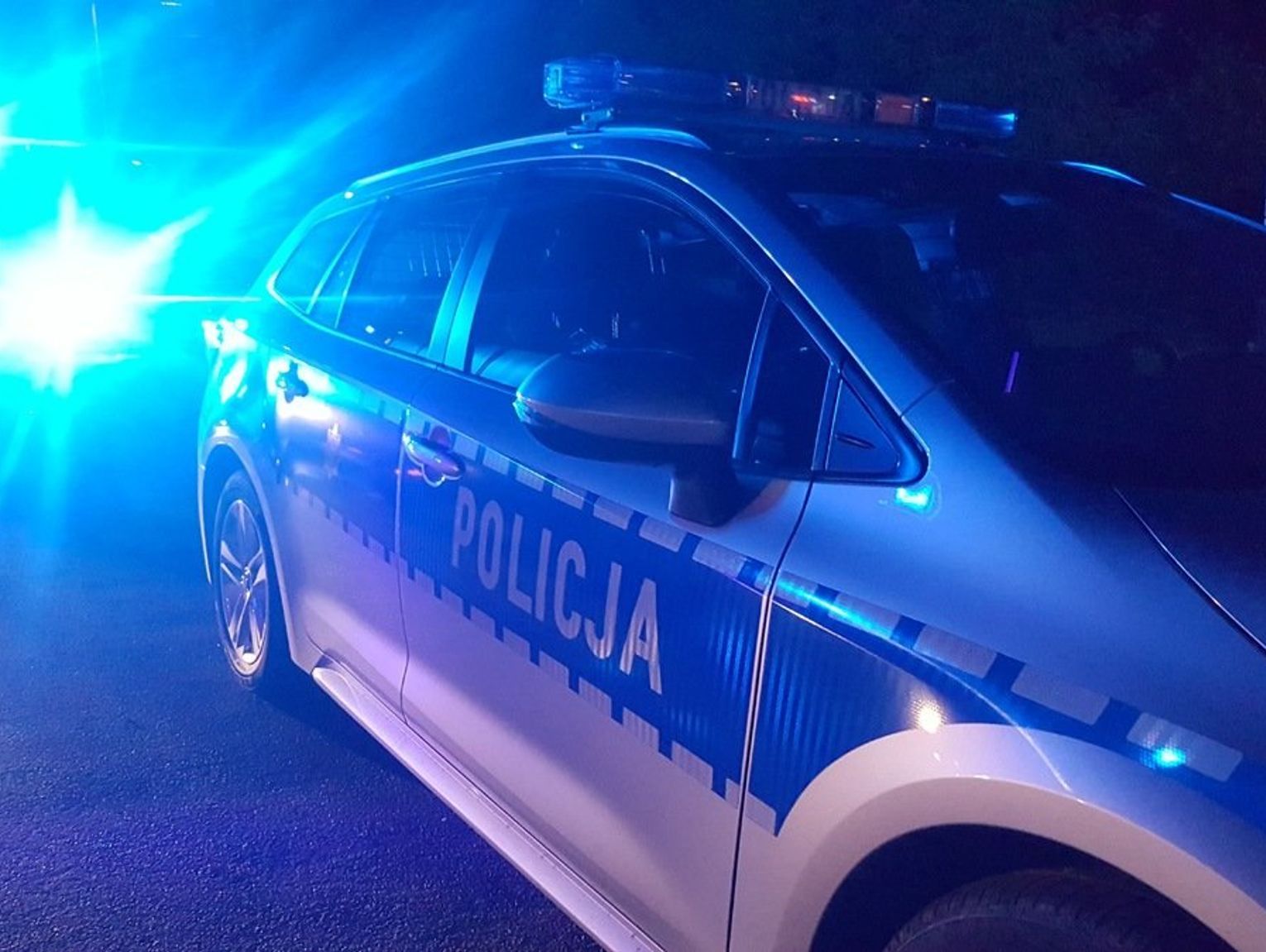 Fot. Licencjodawca