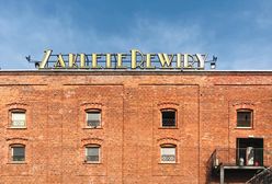 Wrocław. Nowa energia. Targ w Zaklętych Rewirach na odczarowanie pandemicznych kryzysów