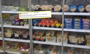 Niemcy dają mieszkanie. I jeszcze ta stawka. Polacy się rzucili