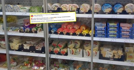Niemcy dają mieszkanie. I jeszcze ta stawka. Polacy się rzucili