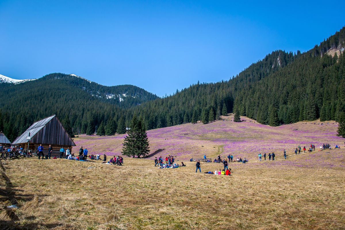 Dolina Chochołowska to jest z ulubionych miejsc turystów w Tatrach