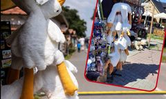 O co chodzi z maskotkami gęsi? "Pipa" zalała Polskę