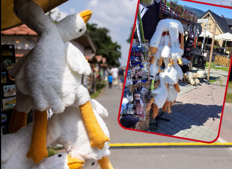 O co chodzi z maskotkami gęsi? "Pipa" zalała Polskę