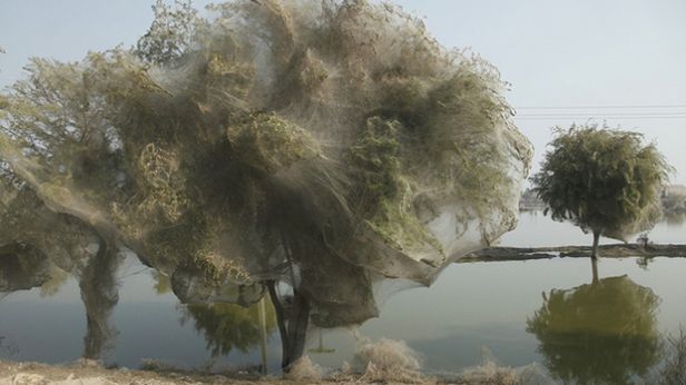 Czy to widoki z koszmaru sennego? [galeria] 1