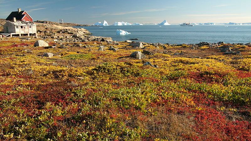 Tundra może zapłonąć 1