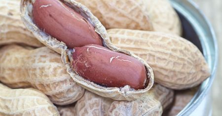 Pomagają spalić tłuszcz z brzucha. Pod jednym warunkiem
