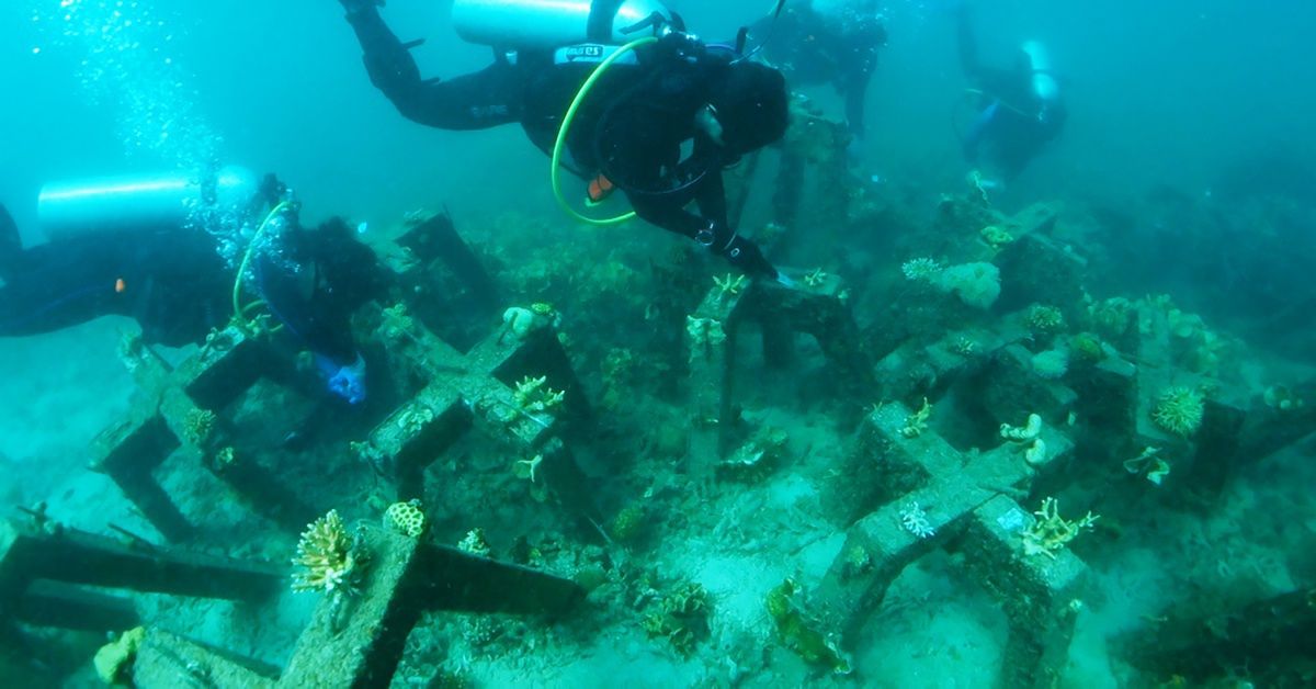Intel, Accenture i Sulubaii Environmental Foundation rozpoczęli projekt CORaiL.