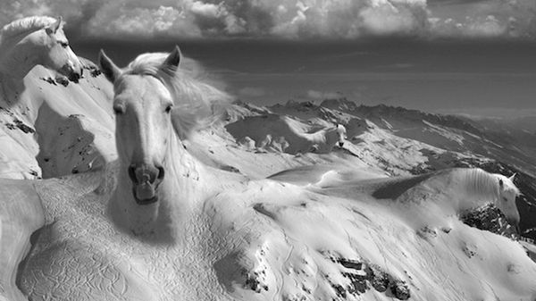 Fotomontaże bez użycia Photoshopa, za to z aferą w tle 1