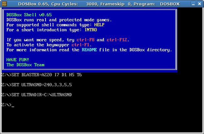 DOS Box