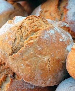 Bochenek chleba nawet po 30 złotych. Piekarze ostrzegają przed skutkami kryzysu