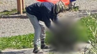 "Barbarzyństwo". Migrant przy grillu. Skandal na całe Włochy