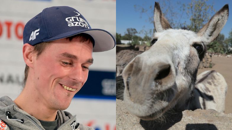 Piotr Żyła ponownie zaskakuje wyznaniami