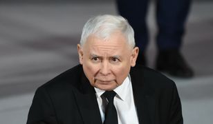Czarzasty uderza w Kaczyńskiego i Przyłębską. Dobitny przykład