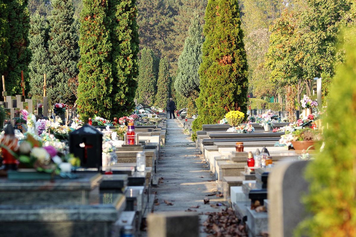 Brakuje miejsc na krakowskich cmentarzach