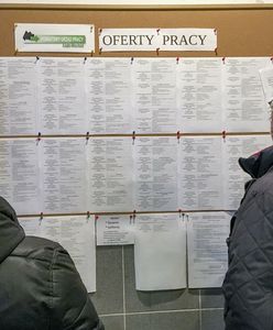 Problem w urzędach. Cudzoziemcy uratują sytuację?