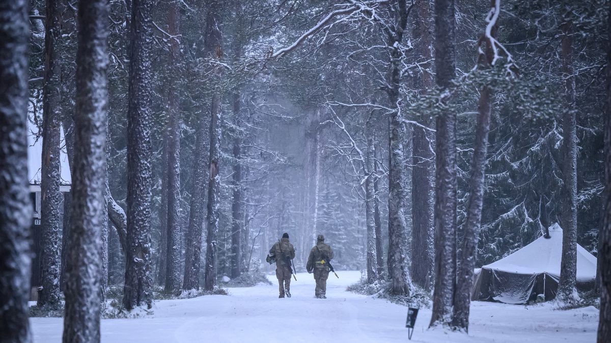 HEINUJARVI, FINLAND - NOVEMBER 19: Soldiers walk through the camp, as members of the Finnish arctic expert Jaeger Brigade train British, Swiss and french troops in cold-weather logistics on November 19, 2024 near Heinujarvi, Finland. The exercises include service members from 28 Allied and partner nations, and are taking place between November 4-24, across locations in Finland, Estonia, Germany, Poland, and Romania. (Photo by Leon Neal/Getty Images)