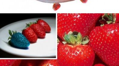 Ekologicznie: Najciekawsze genetyczne modyfikacje warzyw i owoców 1