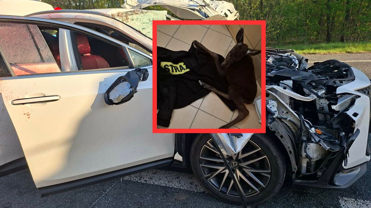 Niezwykłe narodziny po wypadku pod Kościelcem