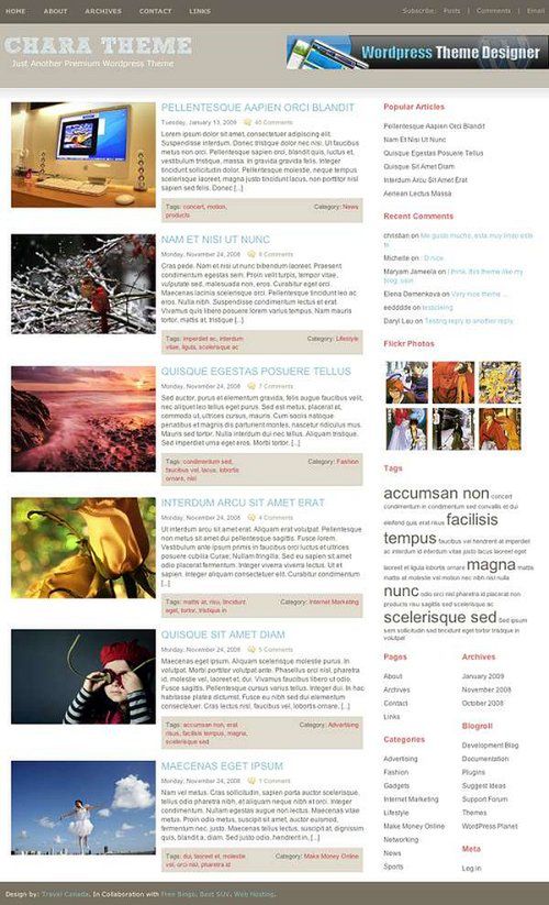 41 pięknych szablonów do Wordpressa 10