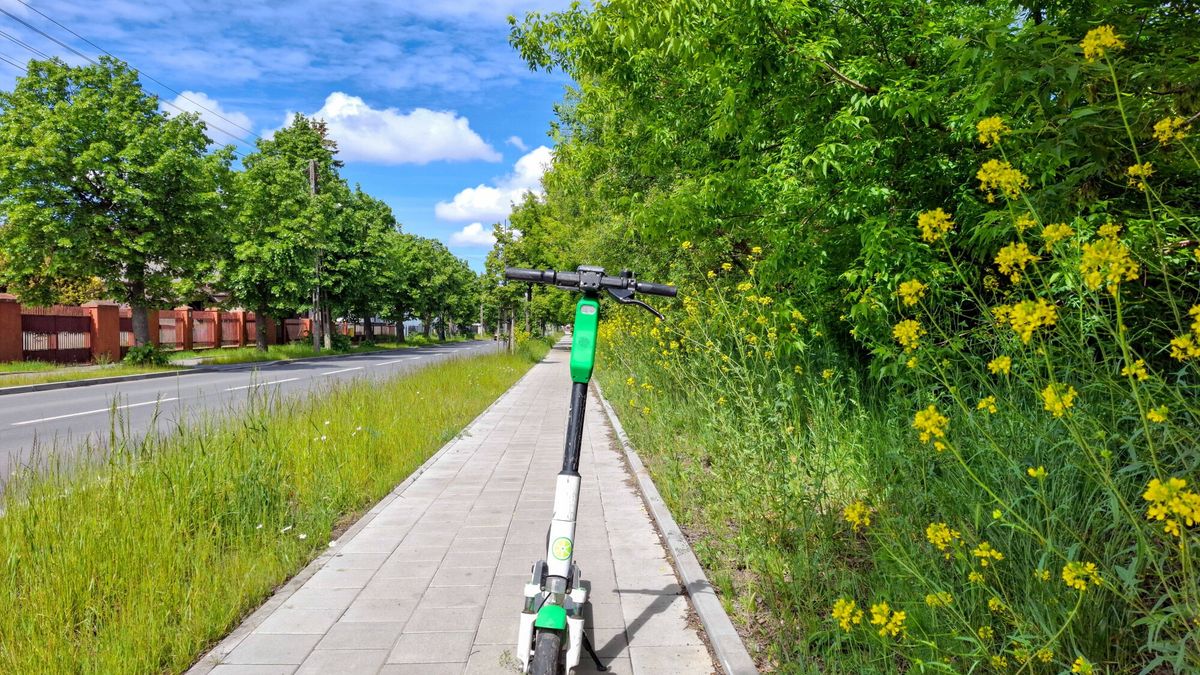Reporter archiwum 2025 05
30.05.2025 Lodz. Hulajnoga elektryczna na ulicy 3 Maja N/z (P)  gorczycznik pospolity, rzezucha zimowa, ziele sw. Barbary, barbarka (Barbarea vulgaris) ? gatunek rosliny nalezacy do rodziny kapustowatych Fot. Piotr Kamionka/REPORTER
Piotr Kamionka/REPORTER