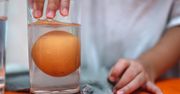Tak sprawdzisz, czy jajka są świeże. Prosty test z wodą i szklanką