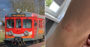 Pluskwy, brud i smród. Tak wygląda podróż między lubuskimi stolicami