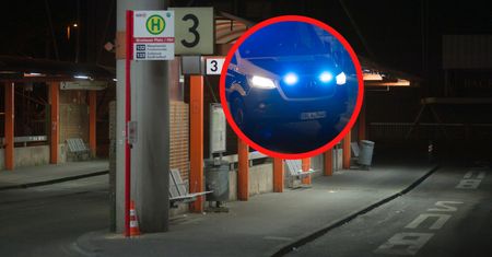 91-latka zaatakowana. Oprawcami dzieci. Poważne obrażenia Niemki