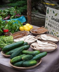 Wrocław. Miasto nie marnuje. Warto dać rzeczom drugie życie