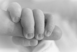 Horror na porodówce. Wyrzuciła noworodka przez okno