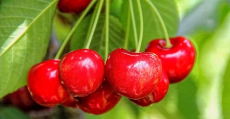 Już 2,5 mld zł w funduszach akcji dywidendowych