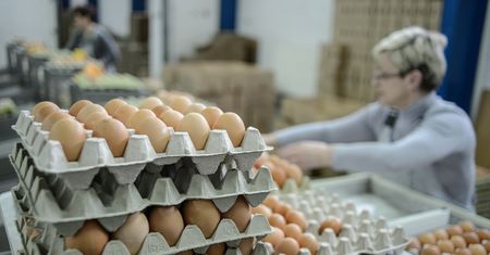 Za średnią pensję kupimy ponad 7,6 tysiąca jaj. Święta będą bogate