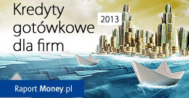 Kredyty gotówkowe dla firm. Raport Money.pl