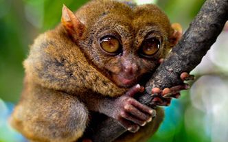 Top 10 zadziwiających odkryć. Tego się nie spodziewasz