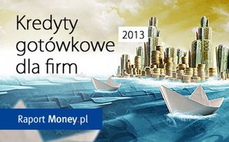 Kredyty gotówkowe dla firm. Raport Money.pl
