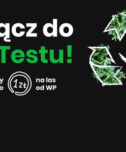 To już ostatnie dni! Rozwiąż test, my wpłacimy pieniądze