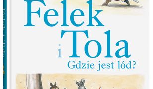 Felek i Tola. Felek i Tola. Gdzie jest lód?