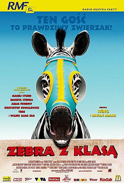 Zebra z klasą